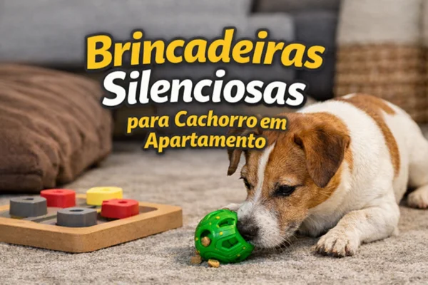 brincadeiras-silenciosas-para-cachorro-em-apartamento