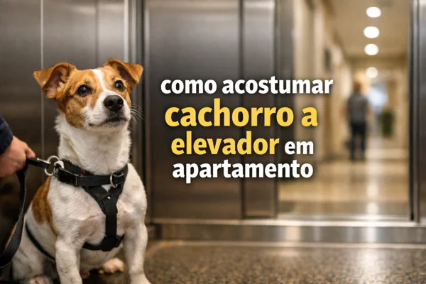 como-acostumar-cachorro-a-elevador-em-apartamento