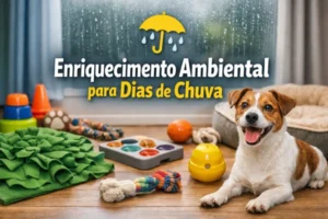 enriquecimento-ambiental-para-dias-de-chuva