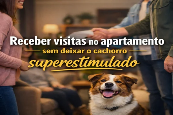 receber-visitas-no-apartamento-sem-deixar-o-cachorro-superestimulado