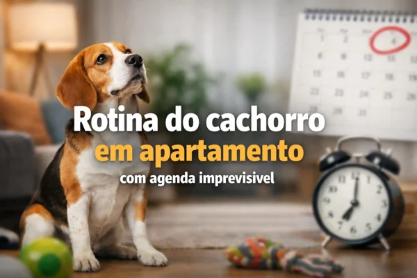 rotina-do-cachorro-em-apartamento-com-agenda-imprevisivel